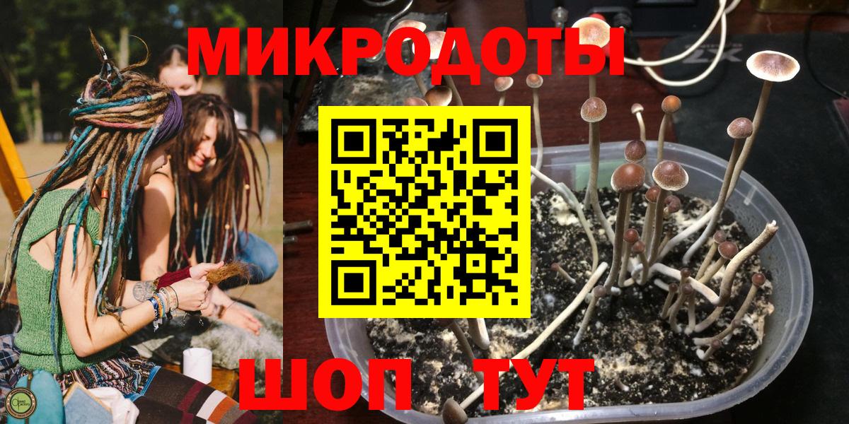 Строитель  Галлюциногенные грибы Magic Shrooms  Вход с VPN 